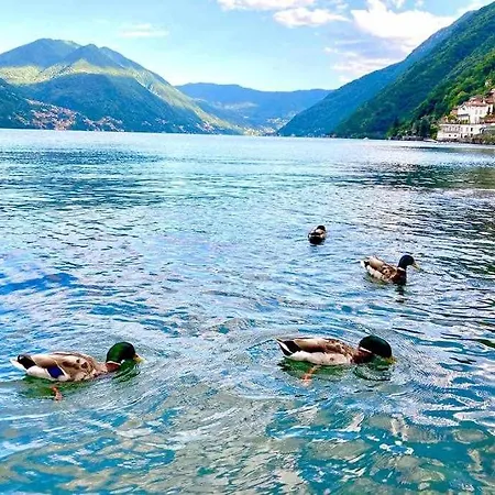 Apartament Mansarda Sul Di Como