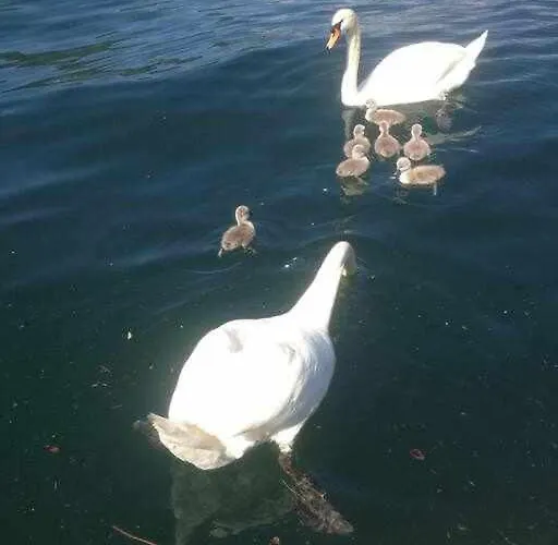 Mansarda Sul Di * Комо