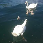 Mansarda Sul Di * Como